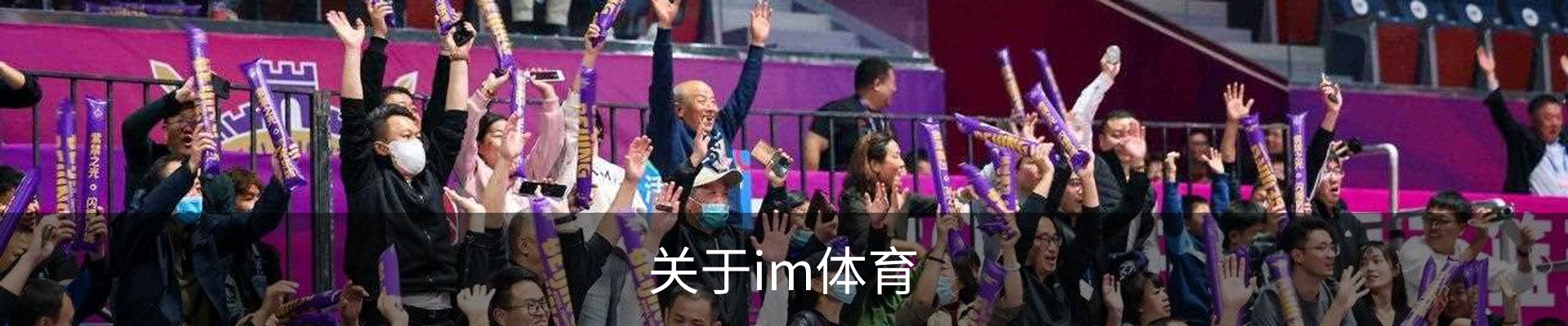 关于im体育