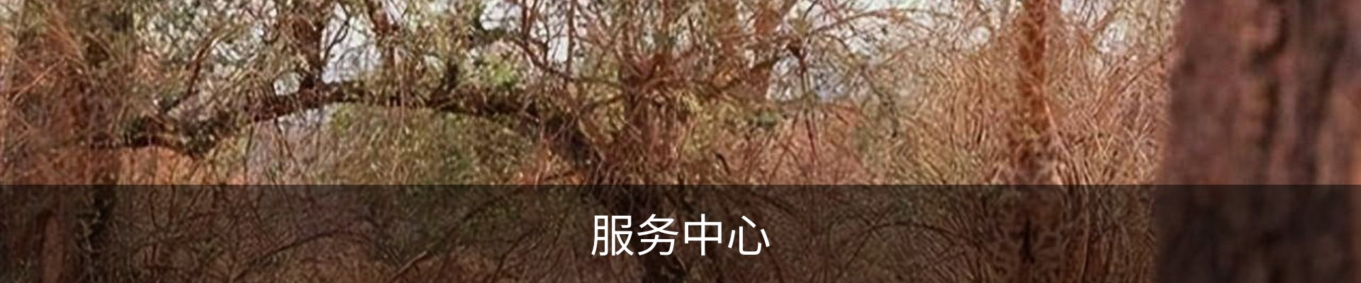 服务中心